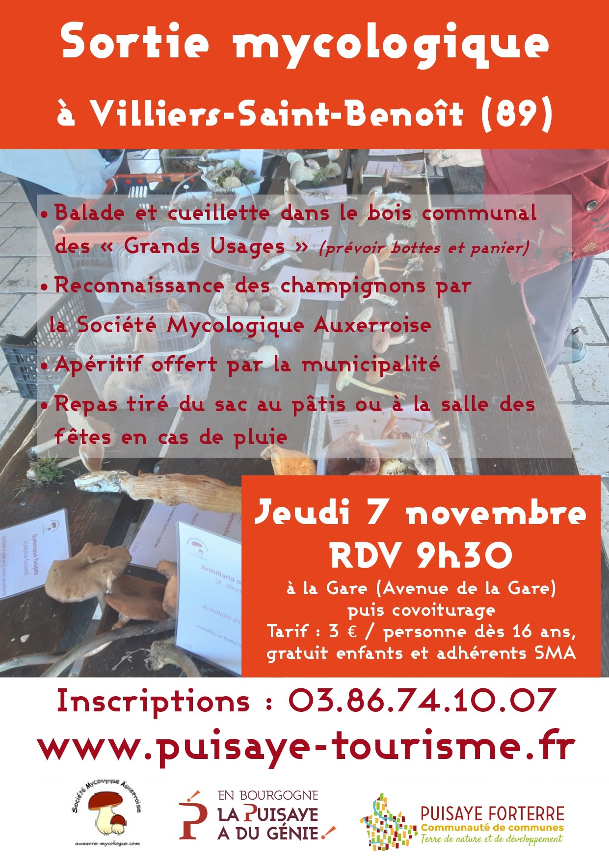 Sortie mycologique